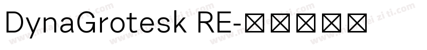 DynaGrotesk RE字体转换